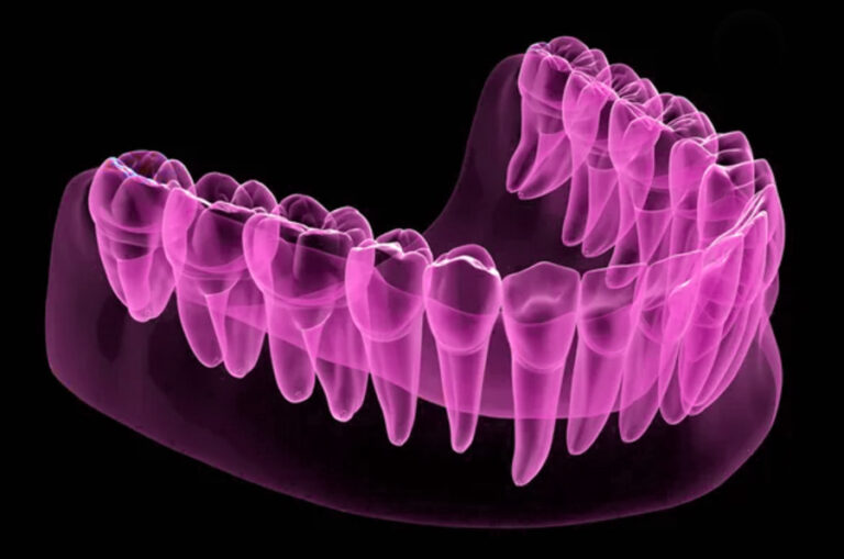 Dental-anatomy2