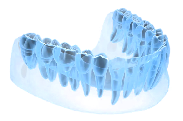 Dental-anatomy_sm